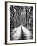 Walking on a Path in Central Park in Winter-Philippe Hugonnard-Framed Photographic Print