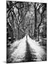 Walking on a Path in Central Park in Winter-Philippe Hugonnard-Mounted Photographic Print