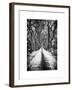 Walking on a Path in Central Park in Winter-Philippe Hugonnard-Framed Art Print