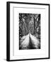 Walking on a Path in Central Park in Winter-Philippe Hugonnard-Framed Art Print