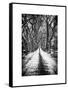 Walking on a Path in Central Park in Winter-Philippe Hugonnard-Framed Stretched Canvas