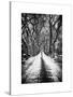 Walking on a Path in Central Park in Winter-Philippe Hugonnard-Stretched Canvas