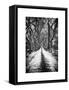 Walking on a Path in Central Park in Winter-Philippe Hugonnard-Framed Stretched Canvas