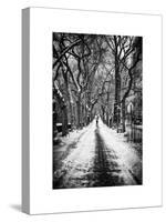 Walking on a Path in Central Park in Winter-Philippe Hugonnard-Stretched Canvas