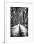 Walking on a Path in Central Park in Winter-Philippe Hugonnard-Framed Art Print