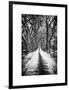 Walking on a Path in Central Park in Winter-Philippe Hugonnard-Framed Art Print