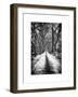 Walking on a Path in Central Park in Winter-Philippe Hugonnard-Framed Art Print