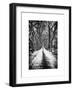 Walking on a Path in Central Park in Winter-Philippe Hugonnard-Framed Art Print