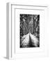 Walking on a Path in Central Park in Winter-Philippe Hugonnard-Framed Art Print