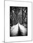 Walking on a Path in Central Park in Winter-Philippe Hugonnard-Mounted Art Print