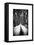 Walking on a Path in Central Park in Winter-Philippe Hugonnard-Framed Stretched Canvas