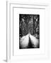Walking on a Path in Central Park in Winter-Philippe Hugonnard-Framed Art Print