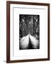 Walking on a Path in Central Park in Winter-Philippe Hugonnard-Framed Art Print