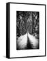 Walking on a Path in Central Park in Winter-Philippe Hugonnard-Framed Stretched Canvas