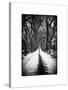 Walking on a Path in Central Park in Winter-Philippe Hugonnard-Stretched Canvas