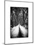 Walking on a Path in Central Park in Winter-Philippe Hugonnard-Mounted Art Print