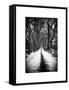 Walking on a Path in Central Park in Winter-Philippe Hugonnard-Framed Stretched Canvas