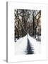 Walking on a Path in Central Park in Winter-Philippe Hugonnard-Stretched Canvas