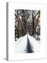 Walking on a Path in Central Park in Winter-Philippe Hugonnard-Stretched Canvas