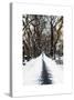 Walking on a Path in Central Park in Winter-Philippe Hugonnard-Stretched Canvas