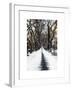 Walking on a Path in Central Park in Winter-Philippe Hugonnard-Framed Art Print