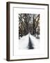 Walking on a Path in Central Park in Winter-Philippe Hugonnard-Framed Art Print