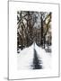 Walking on a Path in Central Park in Winter-Philippe Hugonnard-Mounted Art Print