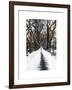 Walking on a Path in Central Park in Winter-Philippe Hugonnard-Framed Art Print