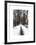 Walking on a Path in Central Park in Winter-Philippe Hugonnard-Framed Art Print