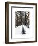 Walking on a Path in Central Park in Winter-Philippe Hugonnard-Framed Art Print