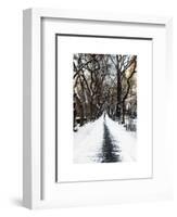 Walking on a Path in Central Park in Winter-Philippe Hugonnard-Framed Art Print