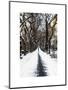 Walking on a Path in Central Park in Winter-Philippe Hugonnard-Mounted Art Print