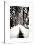 Walking on a Path in Central Park in Winter-Philippe Hugonnard-Stretched Canvas