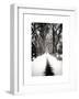 Walking on a Path in Central Park in Winter-Philippe Hugonnard-Framed Art Print