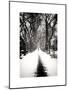 Walking on a Path in Central Park in Winter-Philippe Hugonnard-Mounted Art Print