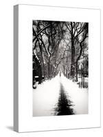 Walking on a Path in Central Park in Winter-Philippe Hugonnard-Stretched Canvas