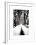 Walking on a Path in Central Park in Winter-Philippe Hugonnard-Framed Art Print