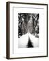 Walking on a Path in Central Park in Winter-Philippe Hugonnard-Framed Art Print