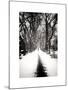 Walking on a Path in Central Park in Winter-Philippe Hugonnard-Mounted Art Print