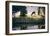 Walking on Sunshine-Larry Chandler-Framed Art Print