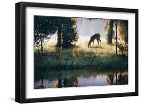 Walking on Sunshine-Larry Chandler-Framed Art Print