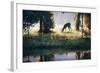 Walking on Sunshine-Larry Chandler-Framed Art Print