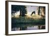 Walking on Sunshine-Larry Chandler-Framed Art Print