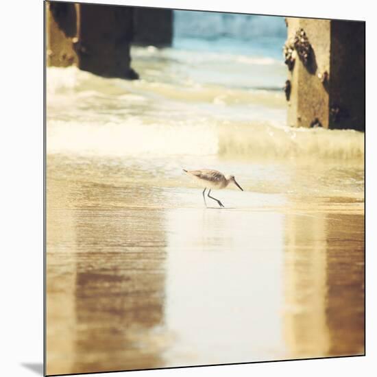 Walking on The Beach-Sylvia Coomes-Mounted Photographic Print