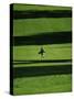 Walking on the Golf Course-null-Stretched Canvas