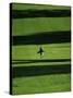 Walking on the Golf Course-null-Stretched Canvas