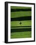 Walking on the Golf Course-null-Framed Photographic Print