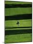 Walking on the Golf Course-null-Mounted Photographic Print