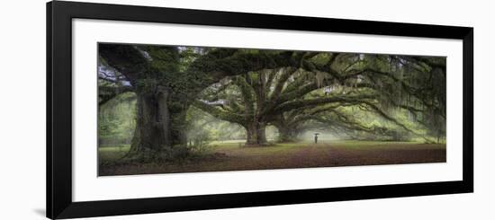 Walking on the trees avenue-Moises Levy-Framed Giclee Print