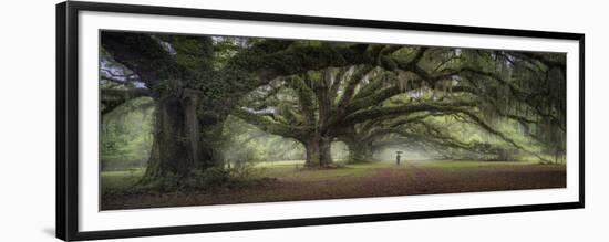 Walking on the trees avenue-Moises Levy-Framed Giclee Print